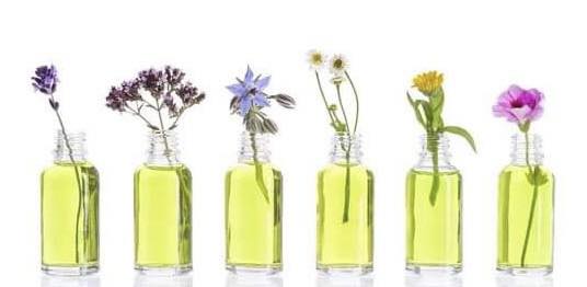 Beautiful flowers in decanters of oil | Okoboji Soap Company