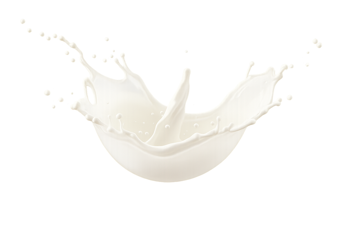 Milk splash on a white background