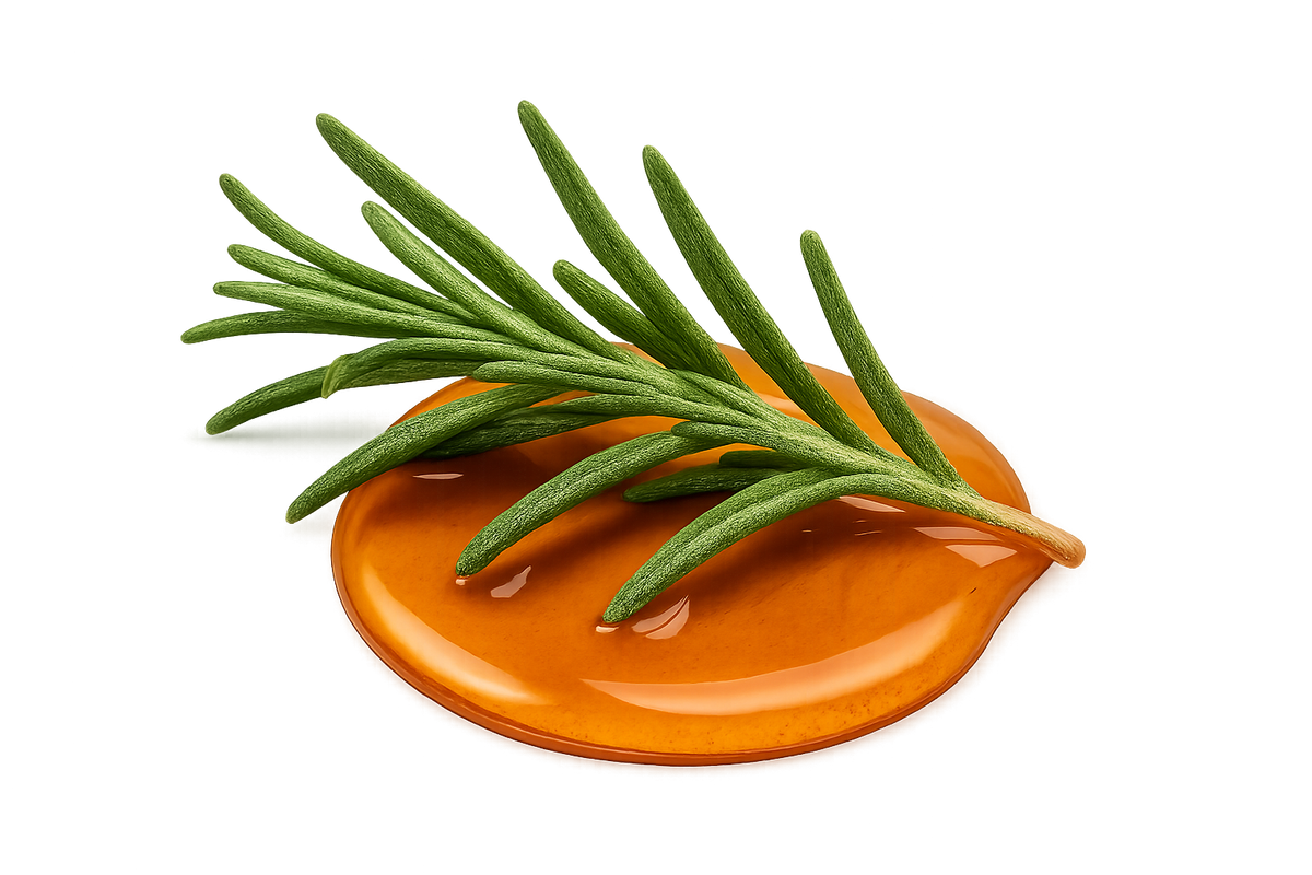 sprig of rosemary laying on a small puddle of rosemary oleoresin with transparent background